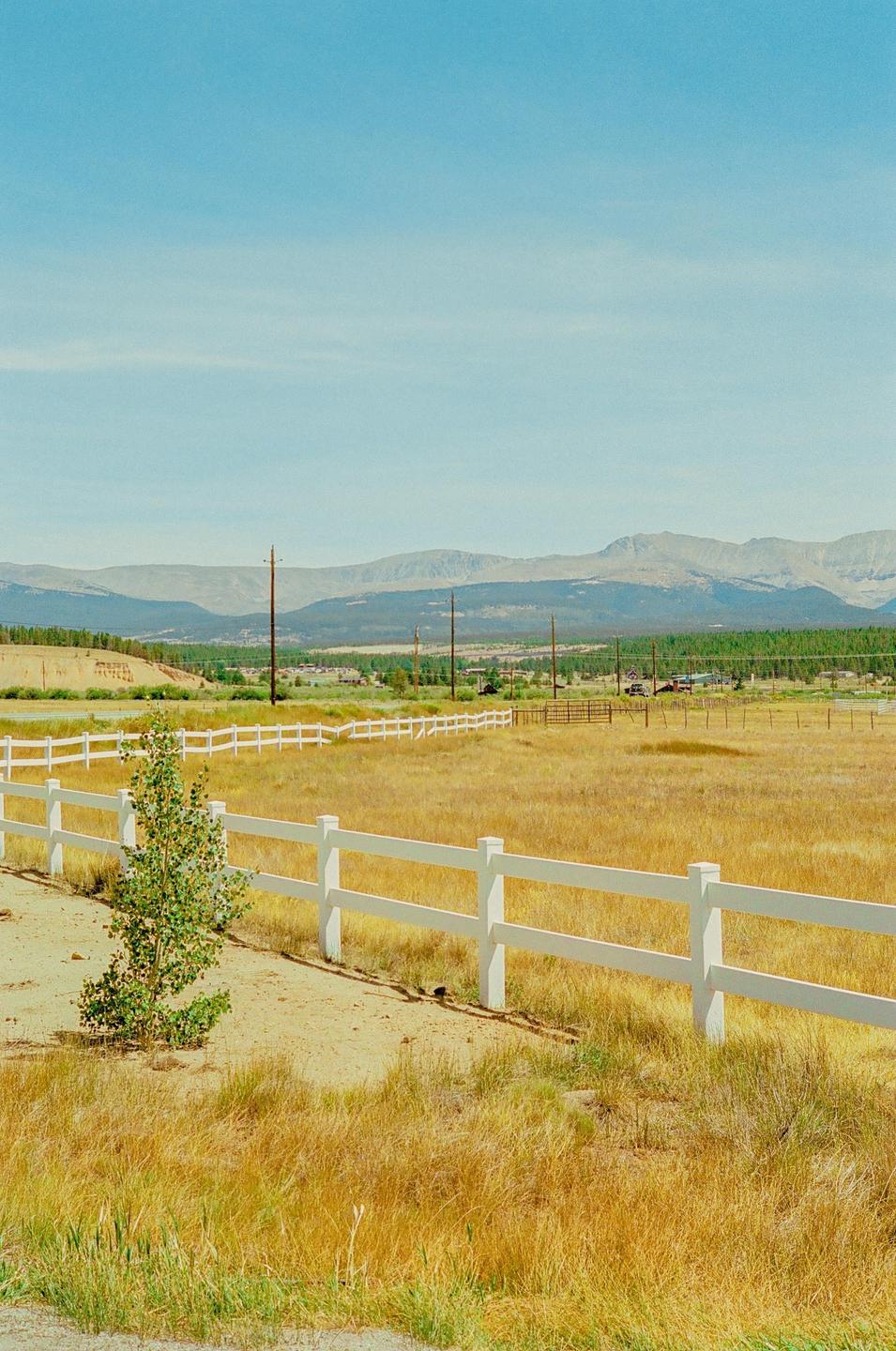 A white fence runs through a field of dry grass with mountains in the distance under a clear sky.