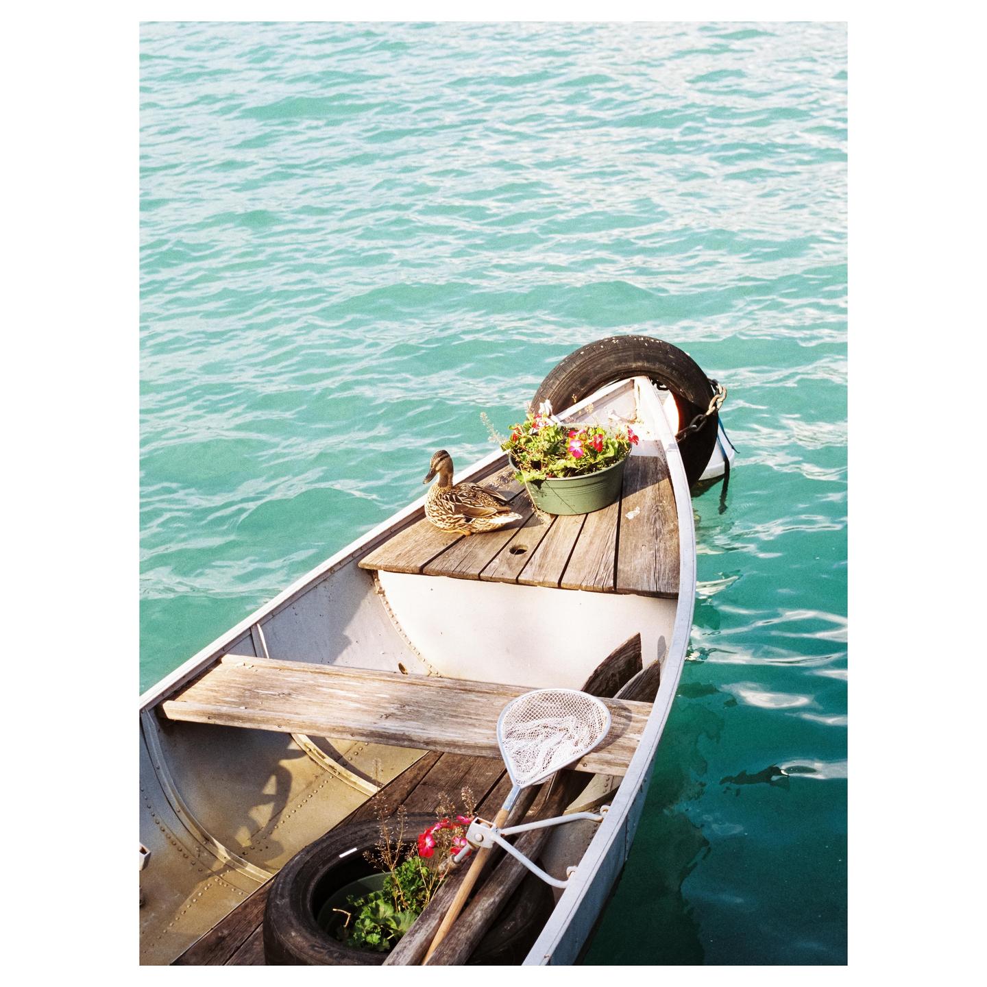 A duck sits on the wooden deck of a small boat floating on turquoise water, next to a pot of flowers.
