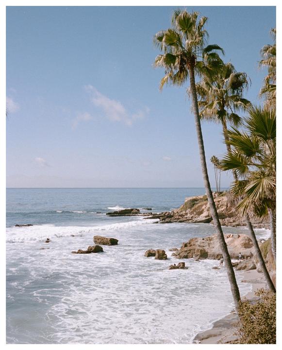 Palm trees frame a rocky beach with waves crashing on the shore.