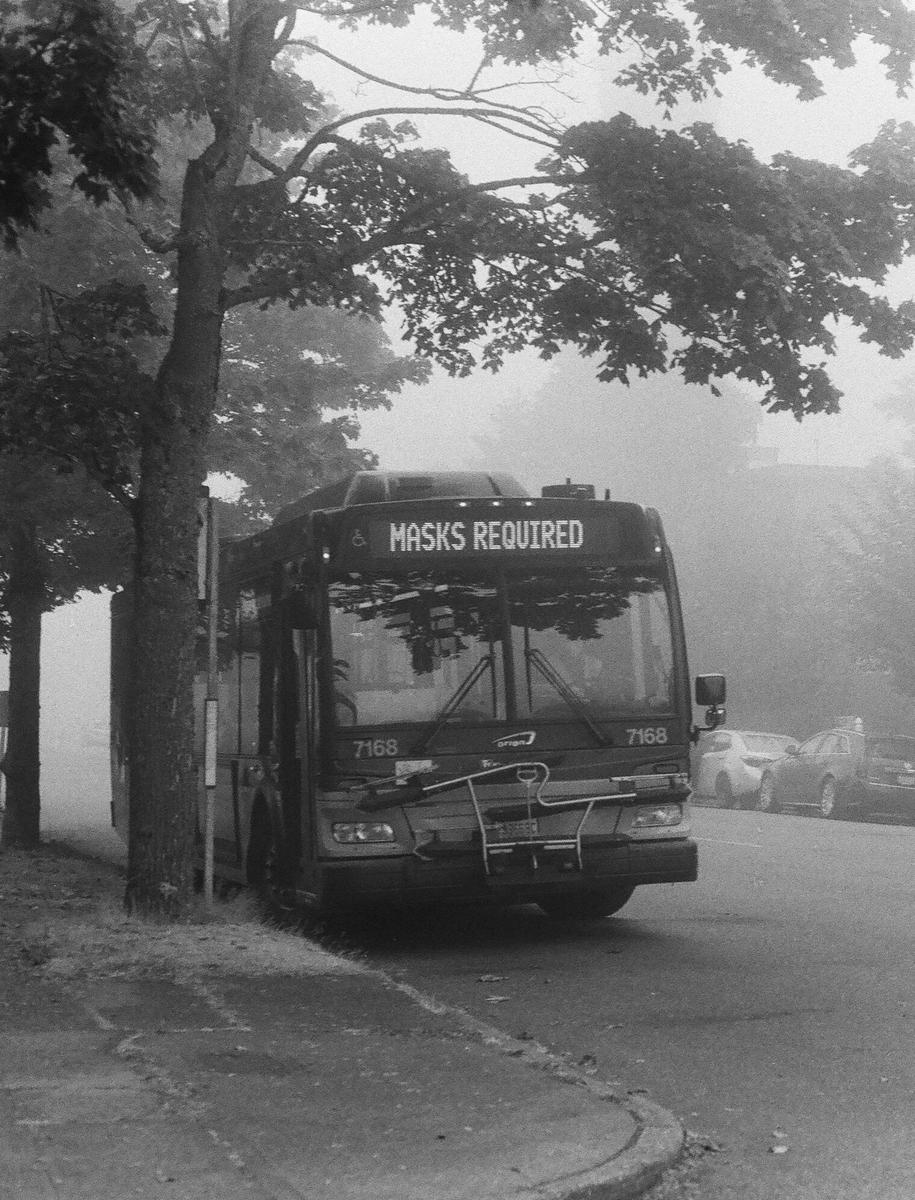 A bus with a "masks required" sign on its front is parked on a street next to a tree on a foggy day.