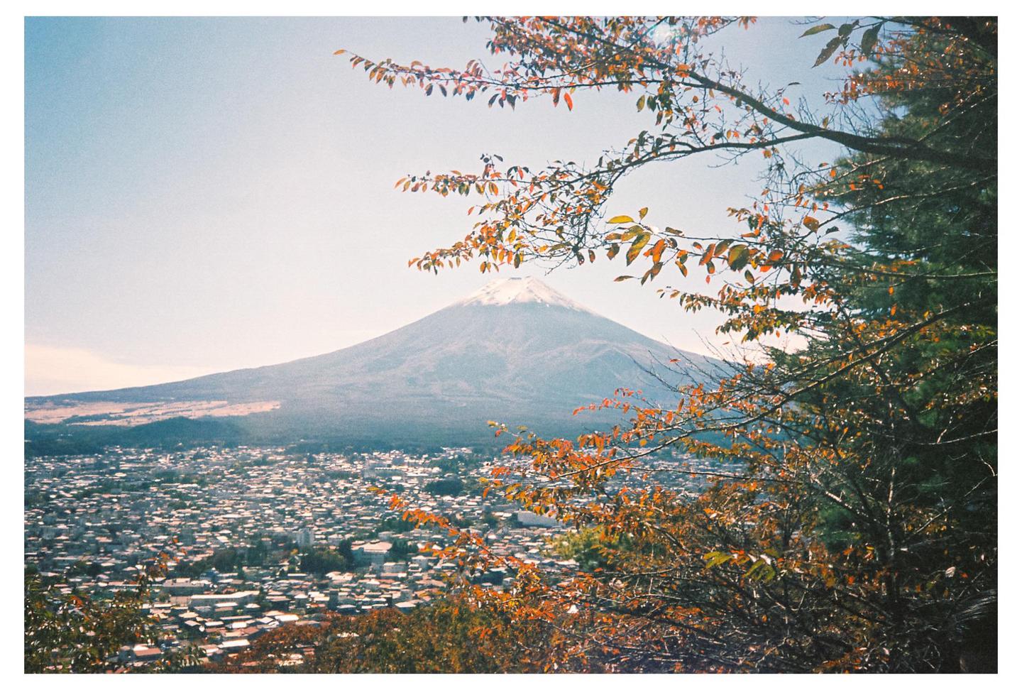 A snow-capped mountain rises above a town, framed by autumn foliage.