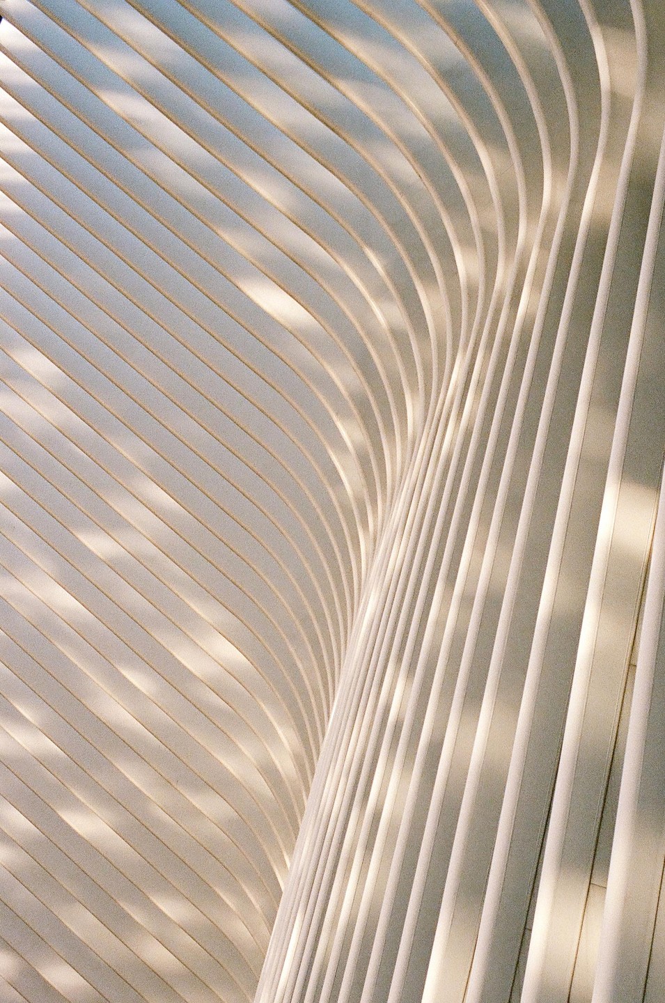 A close-up view of a modern building's curved and ribbed architecture.