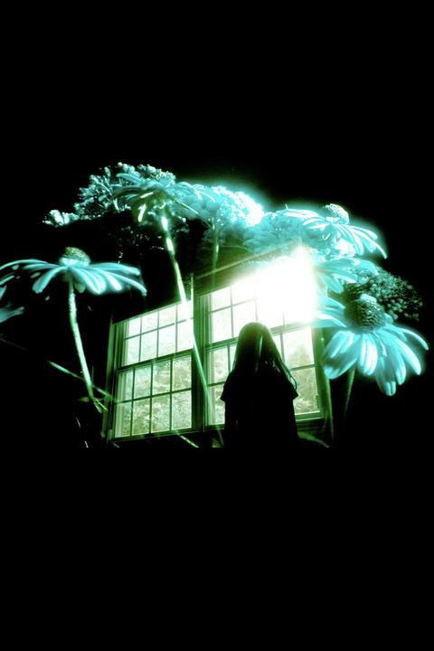 A woman stands in front of a bright window, surrounded by glowing flowers.