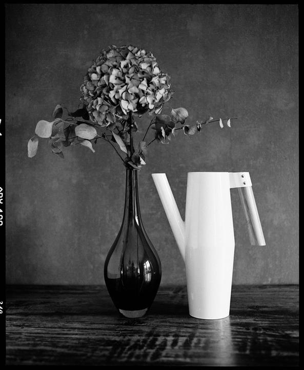 A still life shows a vase with flowers and a watering can on a wooden surface.