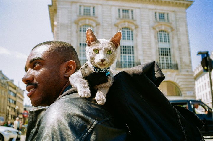 A man carries a cat on his shoulder while walking down a city street.