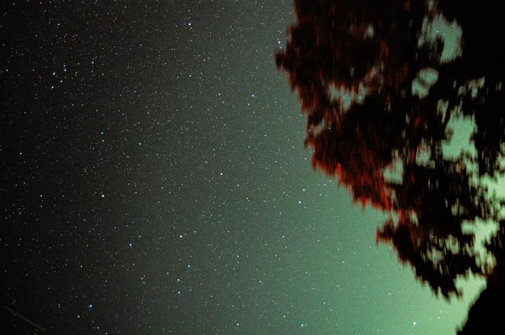 A dark night sky filled with numerous stars is partially obscured by the silhouette of a tree on the right side of the frame.