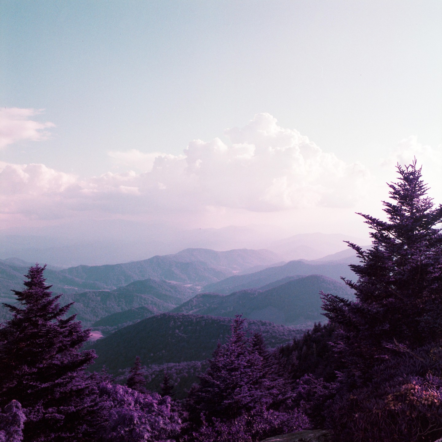 A purple mountain range is visible under a hazy sky with clouds.