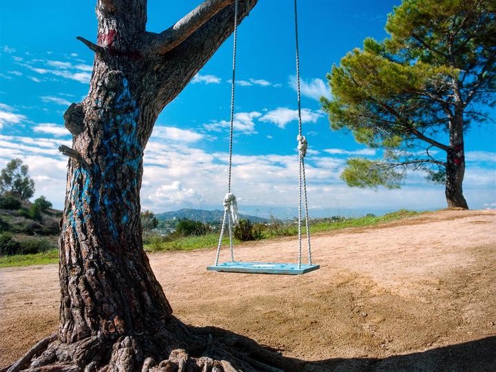 A swing hangs from a tree on a hill overlooking a valley under a blue sky with clouds.