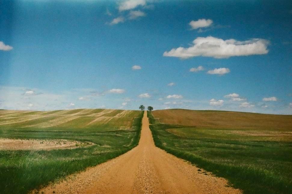 A long dirt road leads through rolling green and brown fields towards two trees on the horizon under a blue sky with scattered clouds.