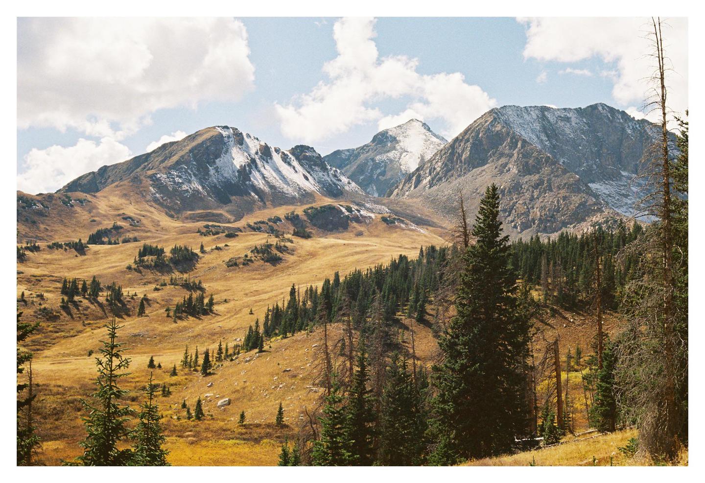 A mountain range with snow-capped peaks rises above a valley of golden grass and evergreen trees under a cloudy sky.