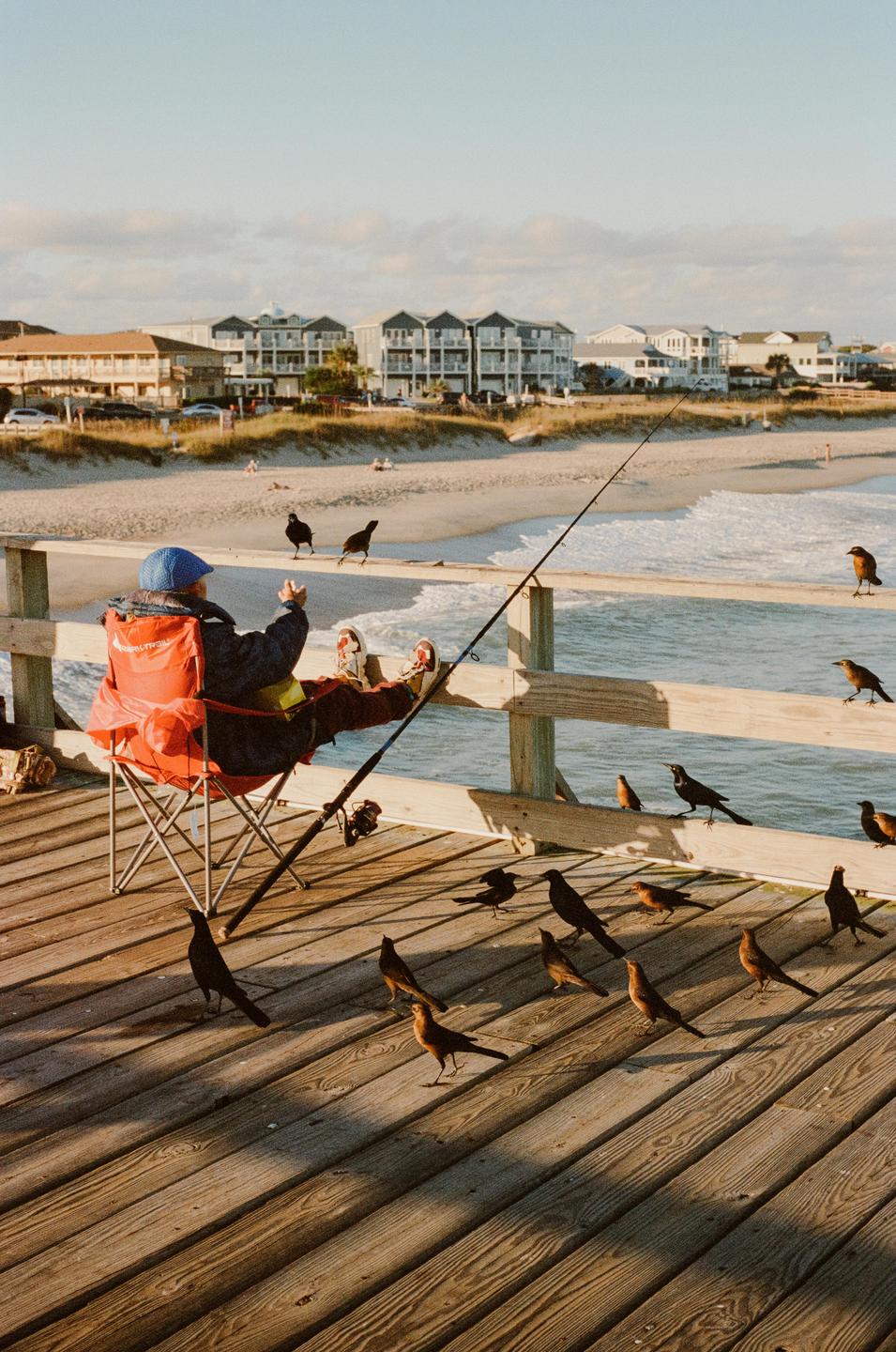 A person sits in a red chair on a wooden pier, fishing with a rod while many birds gather around them.