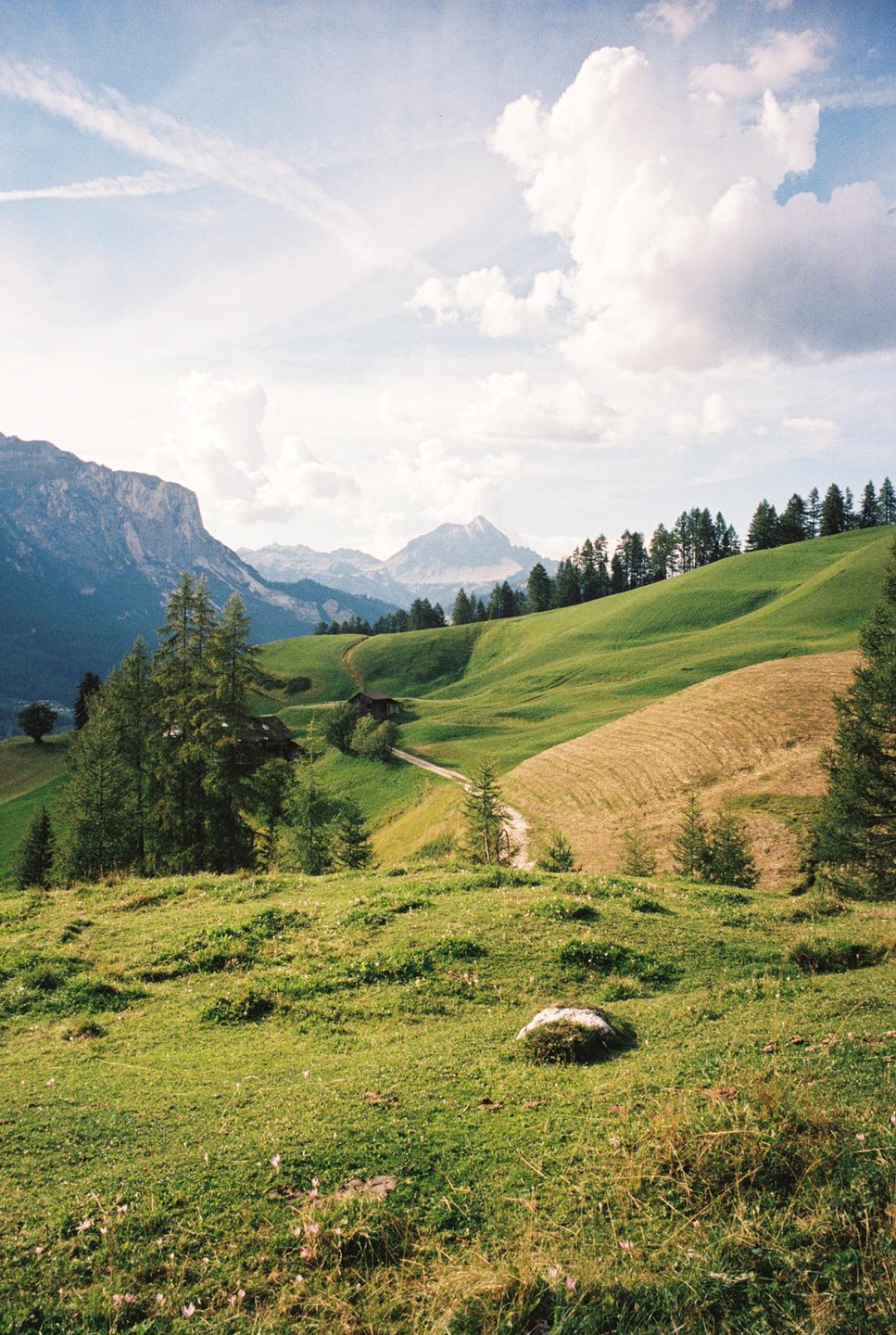 A winding dirt road leads through rolling green hills with scattered trees and distant mountains under a cloudy sky.