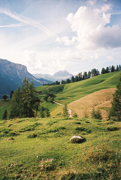 A winding dirt road leads through rolling green hills with scattered trees and distant mountains under a cloudy sky.