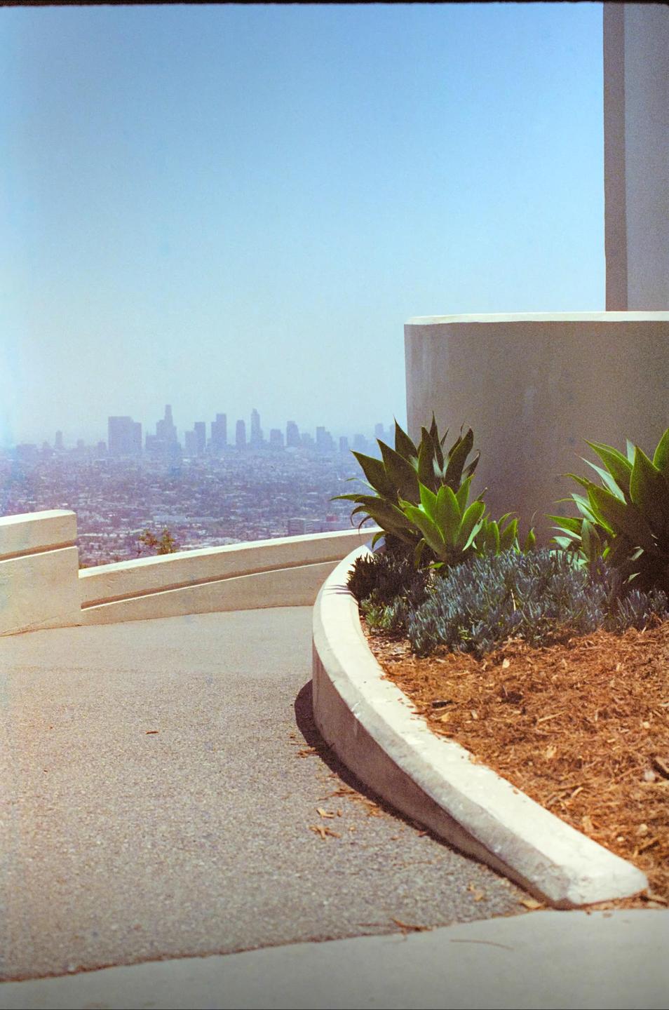 A hazy cityscape is visible in the distance behind a curved wall and some plants.
