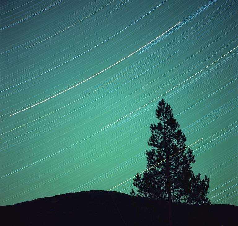 A lone tree stands silhouetted against a night sky filled with star trails.