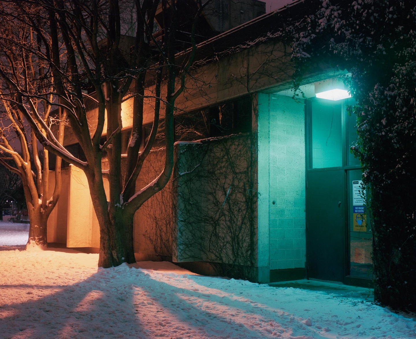 Snow-covered ground and trees are illuminated by orange and teal light next to a building at night.