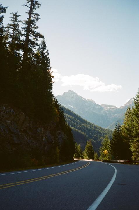 A winding road curves through a forest with mountains in the background under a clear sky.