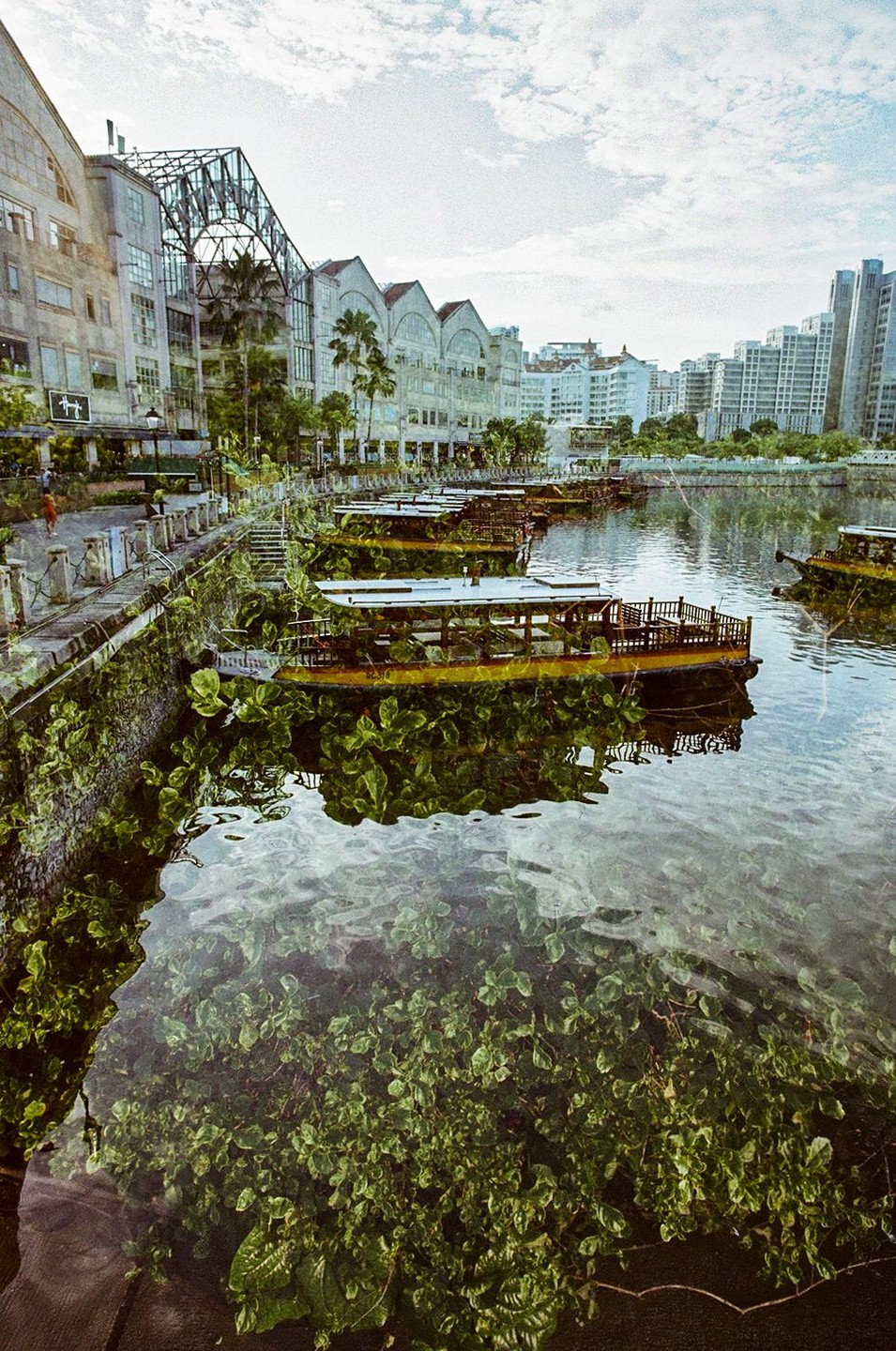 A row of boats is docked along a canal with buildings and palm trees on the left bank, and a city skyline in the background.
