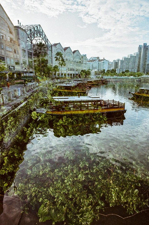 A row of boats is docked along a canal with buildings and palm trees on the left bank, and a city skyline in the background.