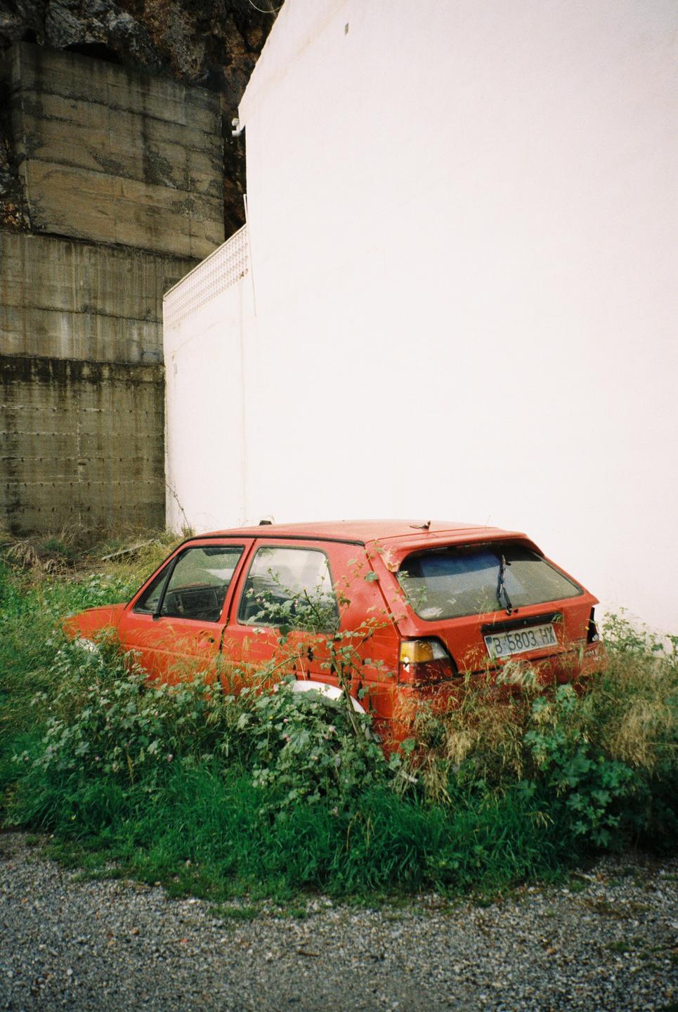 A red car is overgrown with green foliage next to a white wall and a concrete structure.