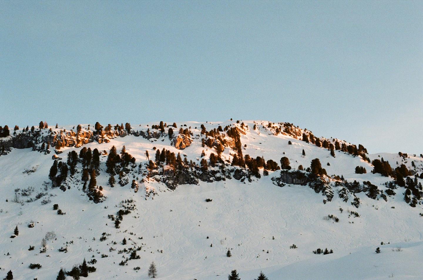 A snow-covered mountain with scattered trees is illuminated by golden light under a clear sky.