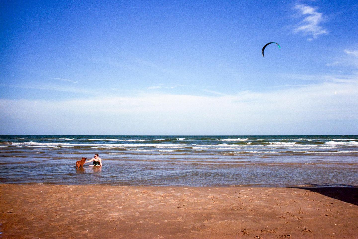 A woman and a dog are in the ocean at the beach with a kite in the sky.