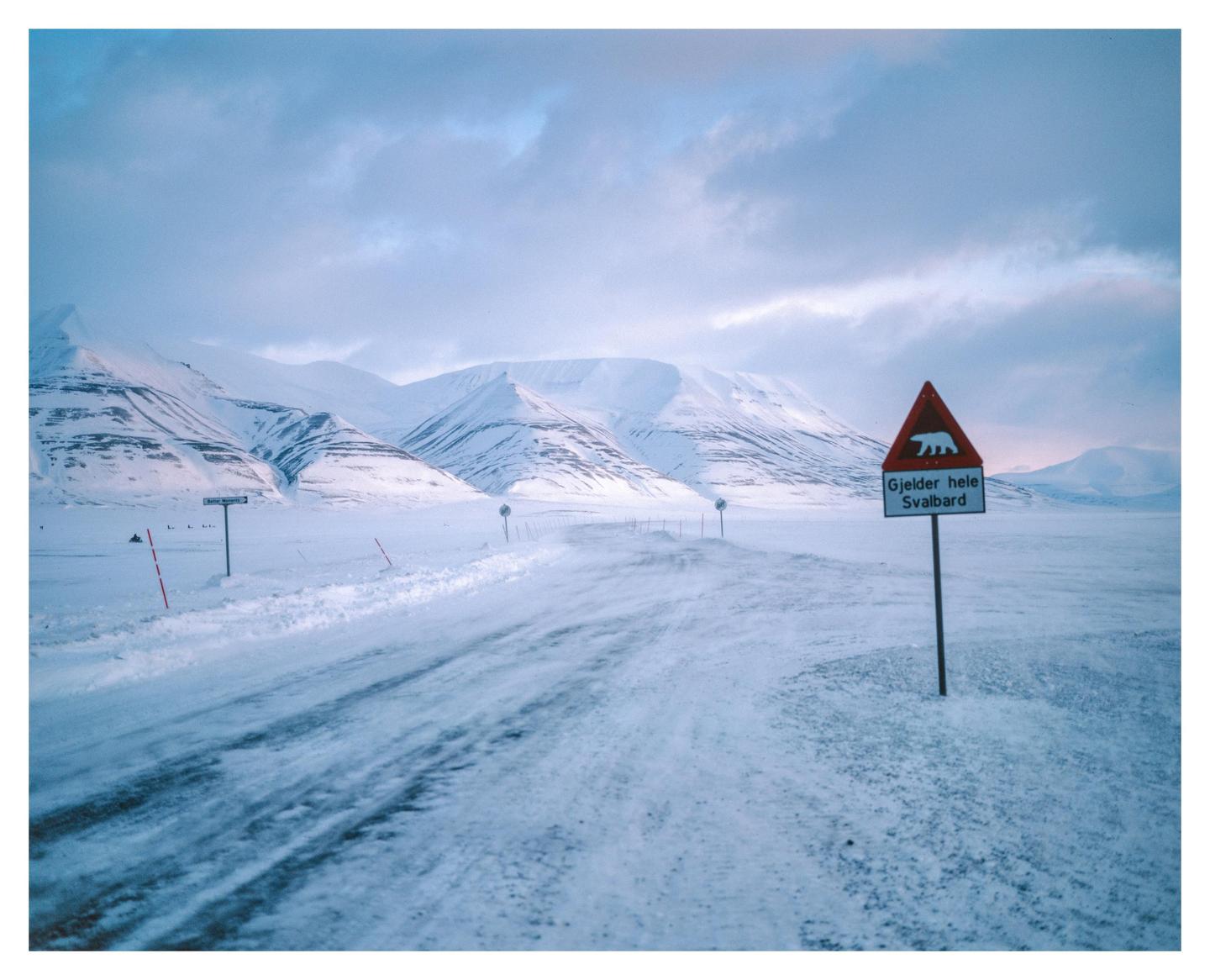A snow-covered road leads toward distant mountains under a cloudy sky, with a polar bear warning sign in the foreground.