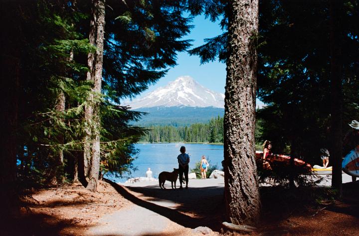 A snow-capped mountain rises above a lake surrounded by a forest, with people and a dog on a path in the foreground.