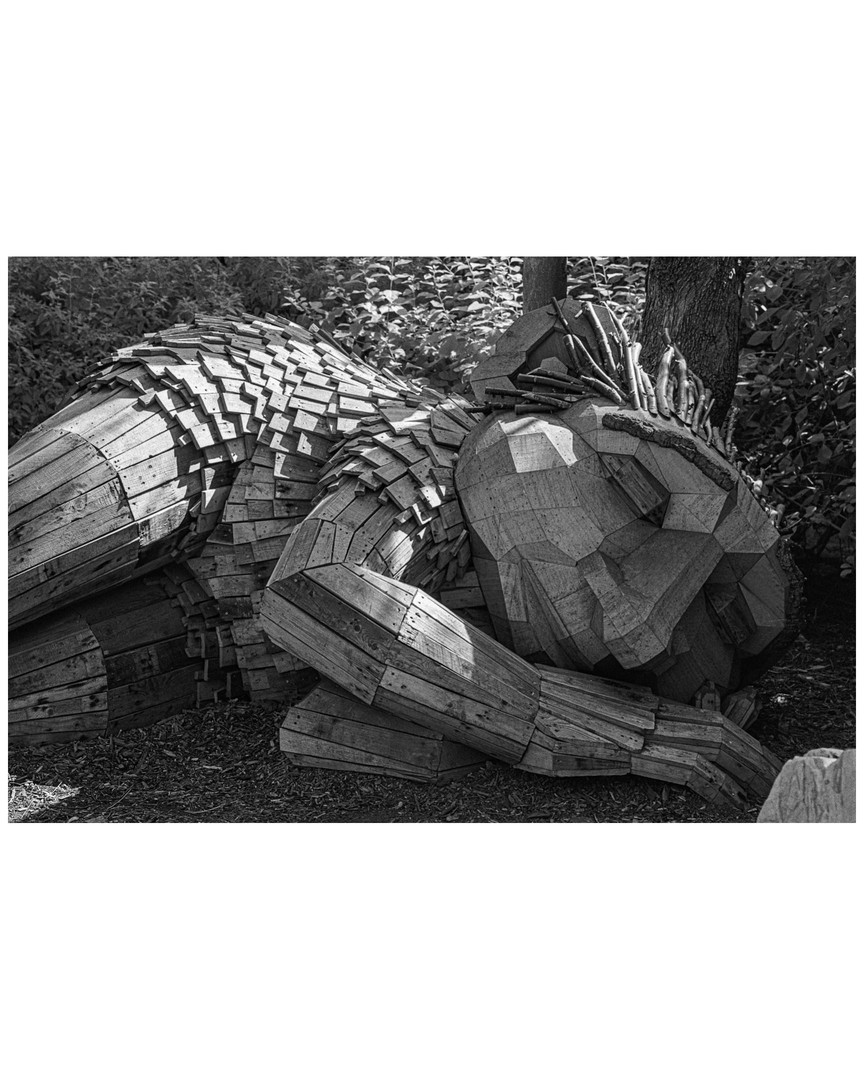 trolls, Rollei Superpan, shot on ROLLEI SUPERPAN 200