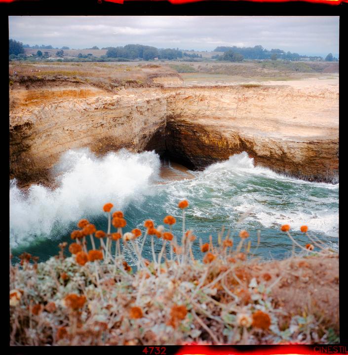 Waves crash against a rocky cliff with orange flowers in the foreground.