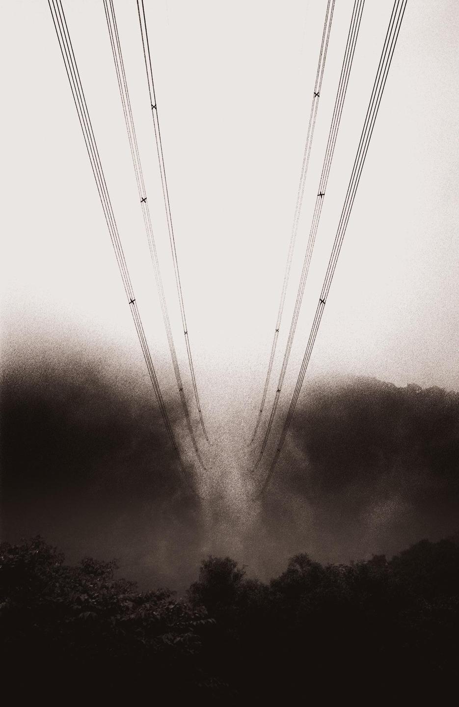Power lines disappear into low clouds above a forest.