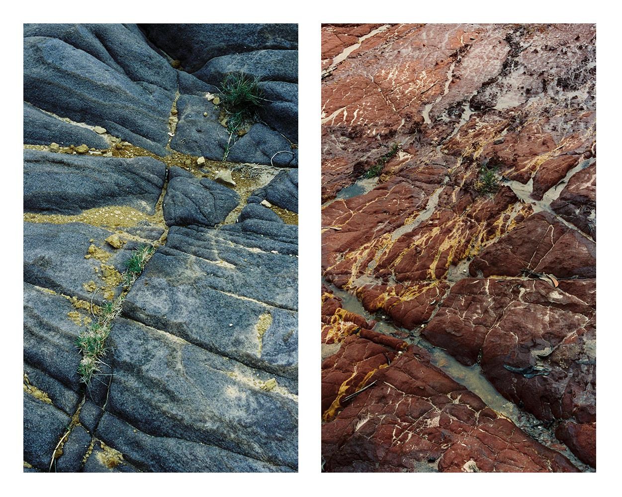Two vertical images show different colored rock formations with small plants growing in crevices.