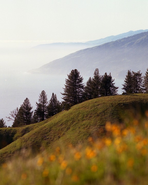 A hillside covered in green grass and trees overlooks a hazy ocean and mountains.