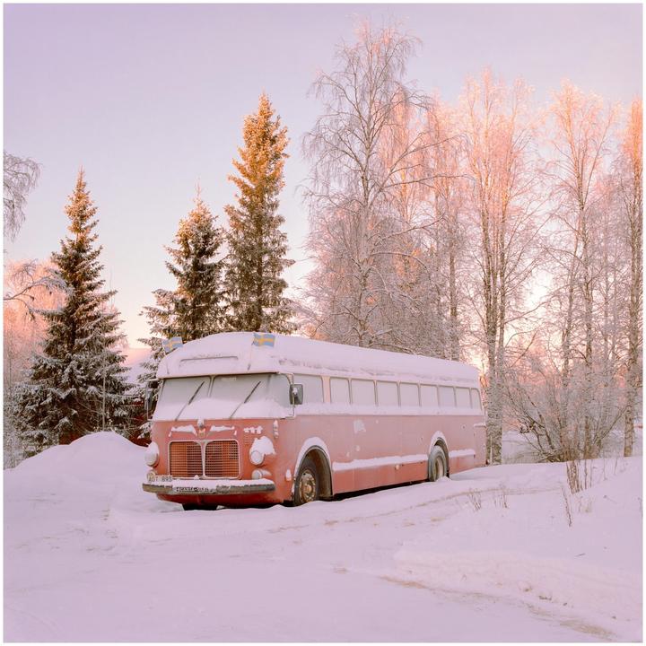 A red bus covered in snow is parked on a snowy road next to snow-covered trees.