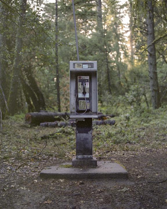 A payphone stands on a concrete base in a forest with fallen logs in the background.