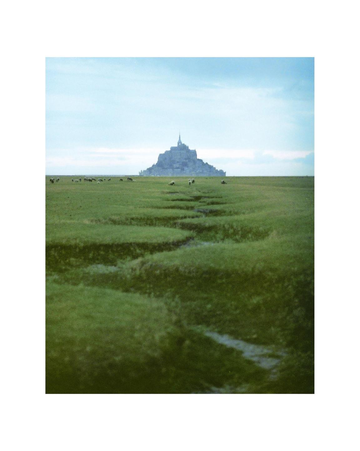A medieval abbey rises from a flat, green landscape with sheep grazing in the foreground.