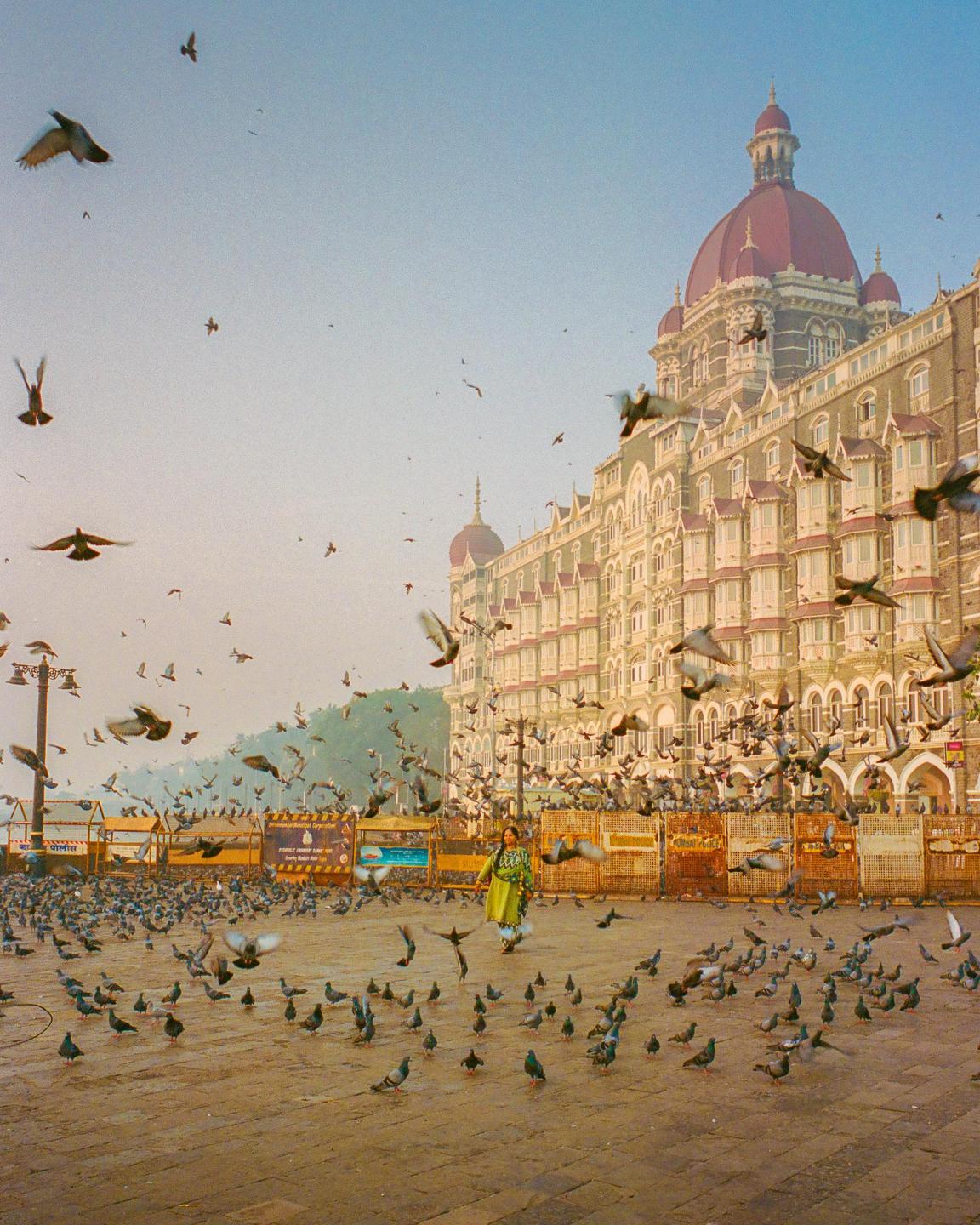 A woman walks among a large flock of pigeons in a city square with a grand building in the background.