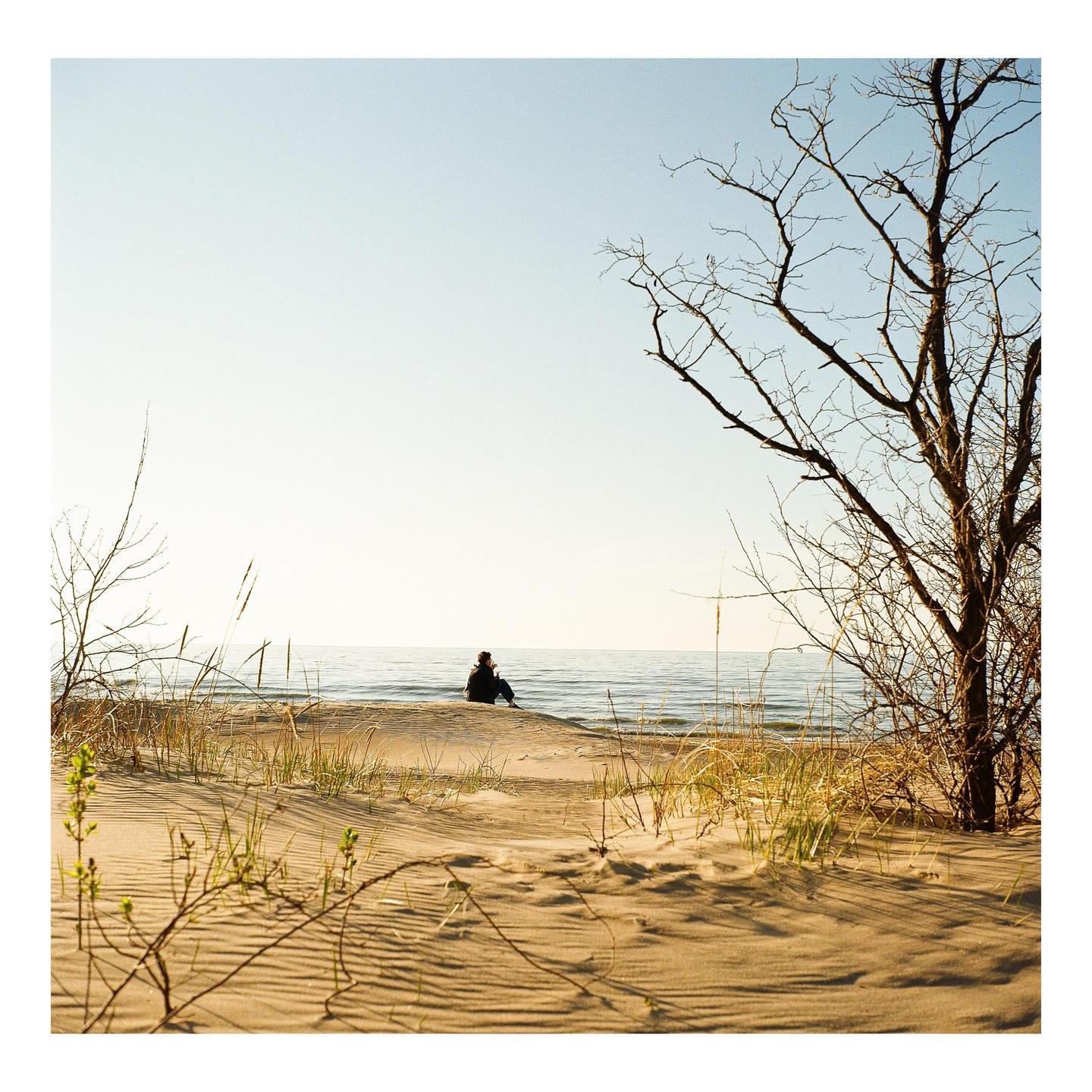 A person sits on a sandy dune overlooking a body of water with bare trees on either side.