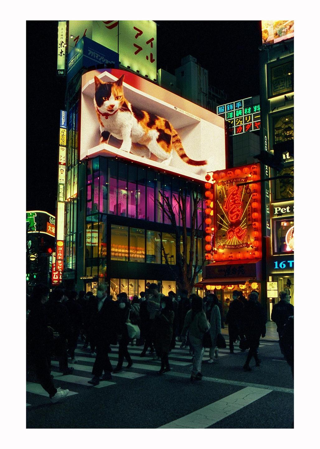 A large calico cat advertisement is displayed on the side of a building above a street with many people crossing at night.