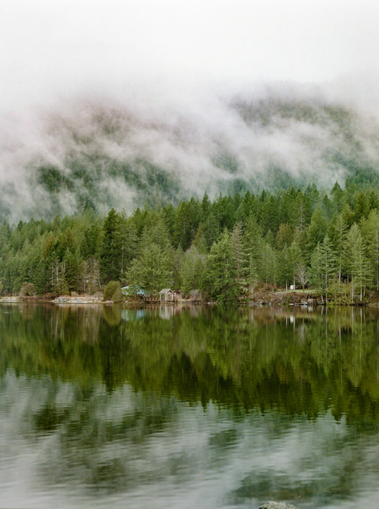 A dense forest covered in mist reflects on the still surface of a lake.