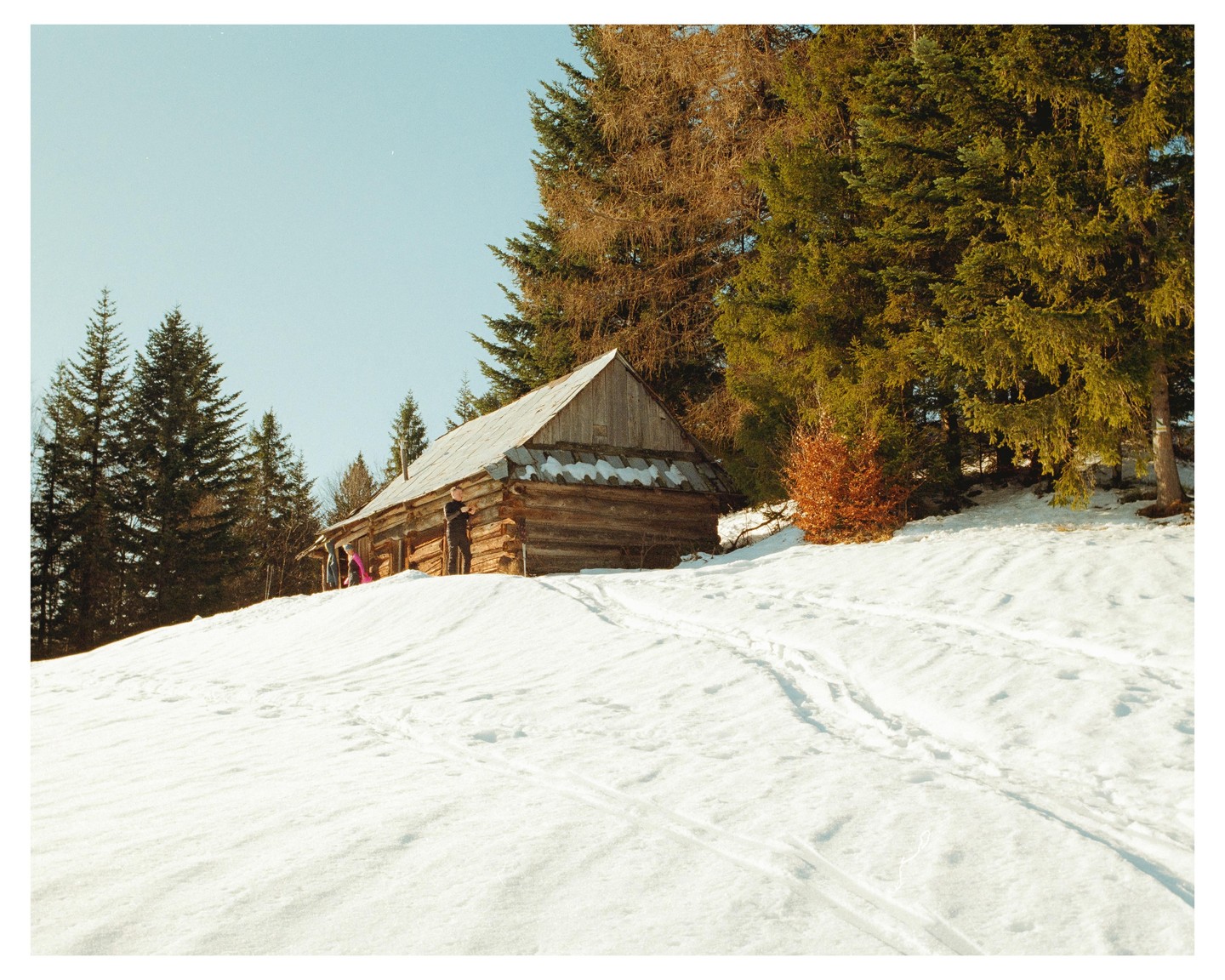 A wooden cabin sits on a snow-covered hill surrounded by evergreen trees under a clear sky.