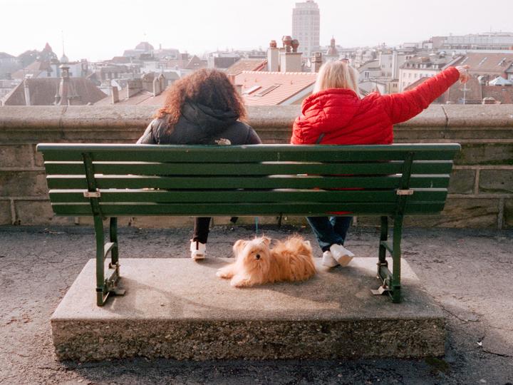 Two women sit on a park bench with a small dog, overlooking a city.