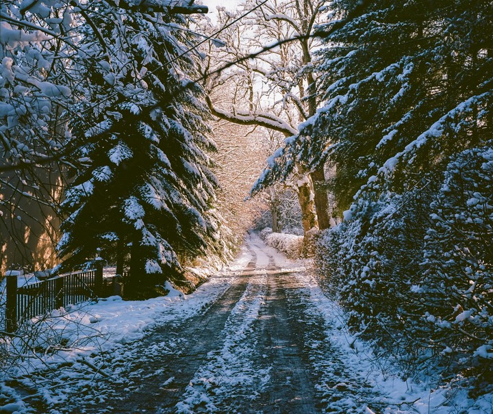 A snow-covered road winds through a forest with tall trees and bushes.