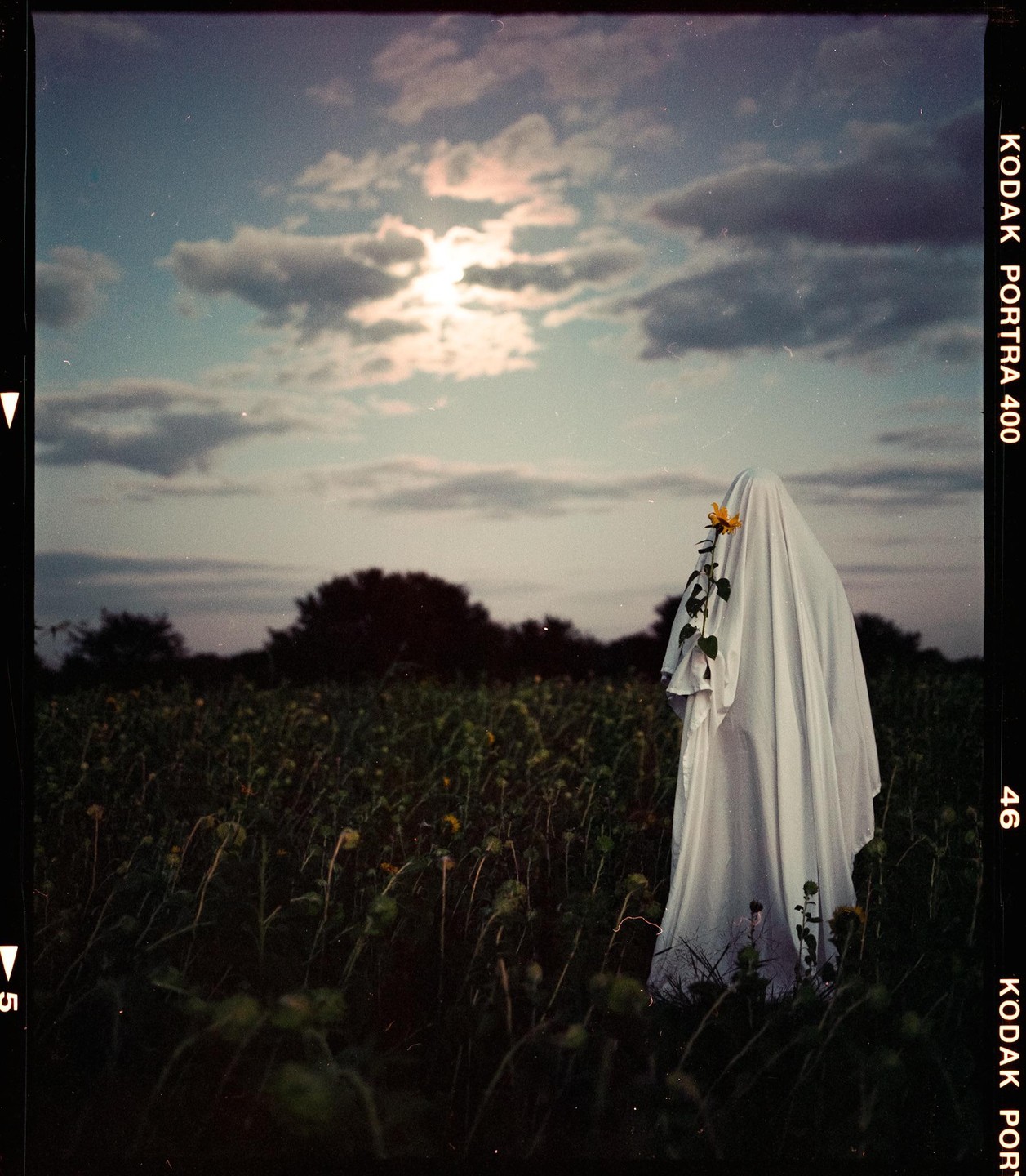 A figure draped in a white sheet with a sunflower stands in a field under a cloudy sky at dusk.