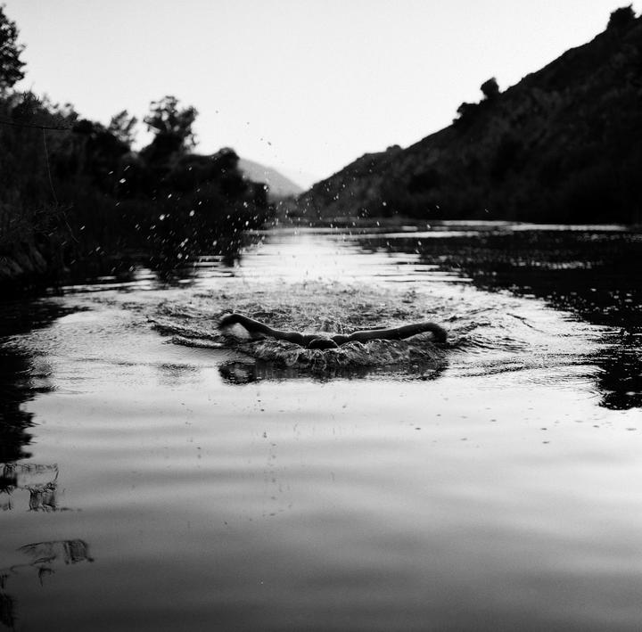 A person swims butterfly stroke in a body of water, creating splashes and ripples.