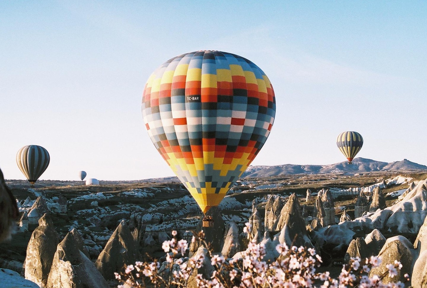 Hot air balloons float above a rocky landscape with white blossoms in the foreground.