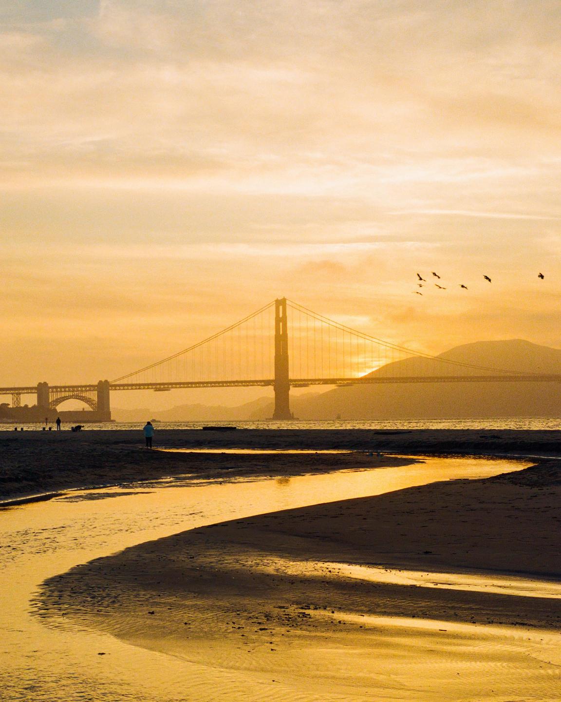 A golden sunset illuminates a beach with a winding stream, a distant bridge, and birds flying in the sky.