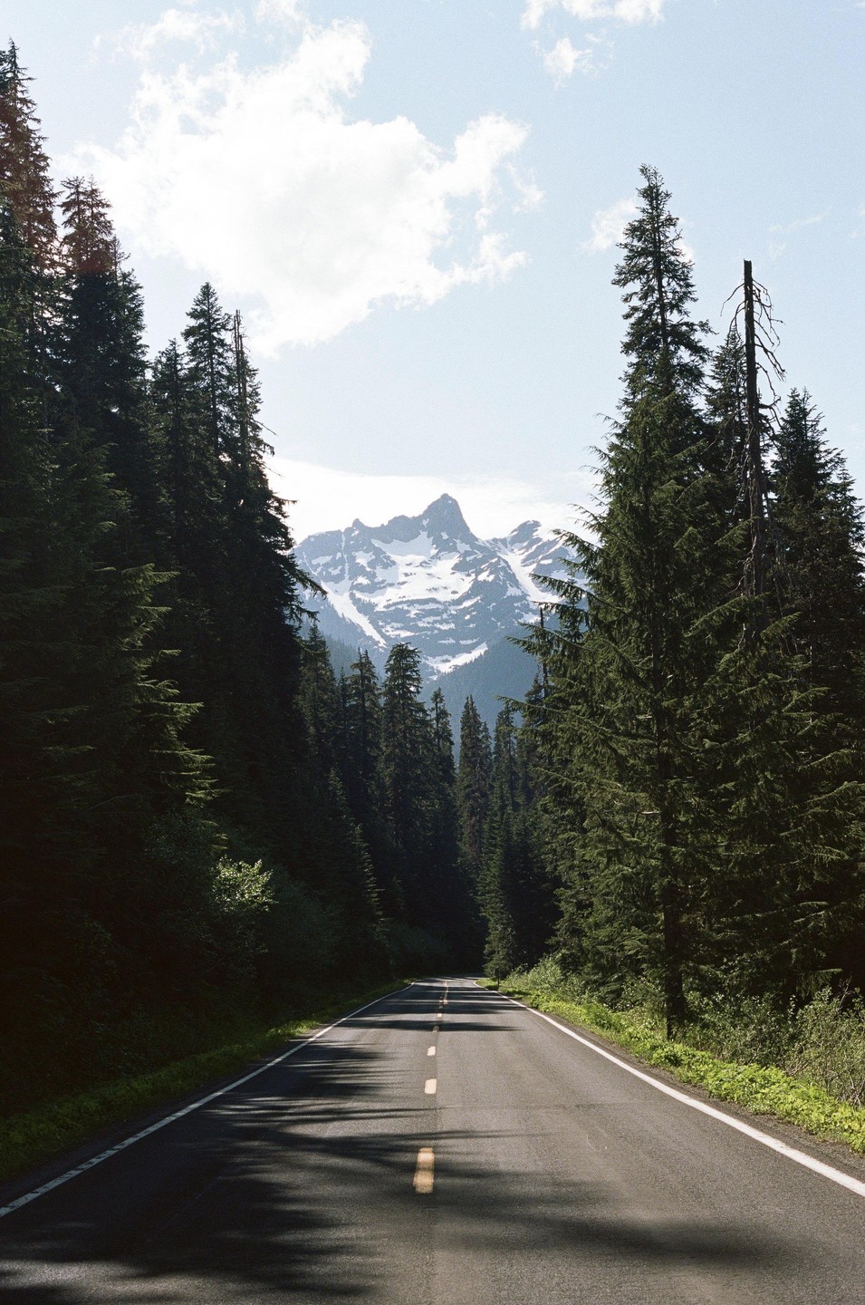 A road leads through a forest towards a snow-capped mountain under a cloudy sky.