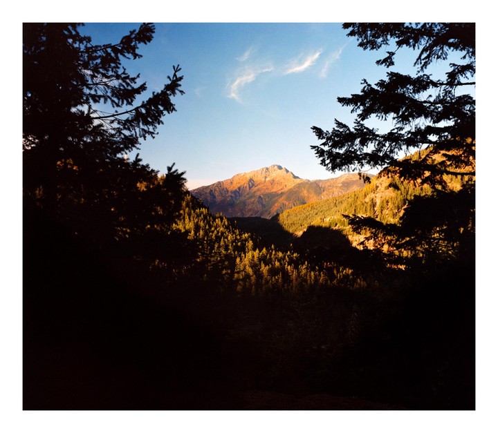 A mountain range with a forest in the foreground is illuminated by the golden hour light.