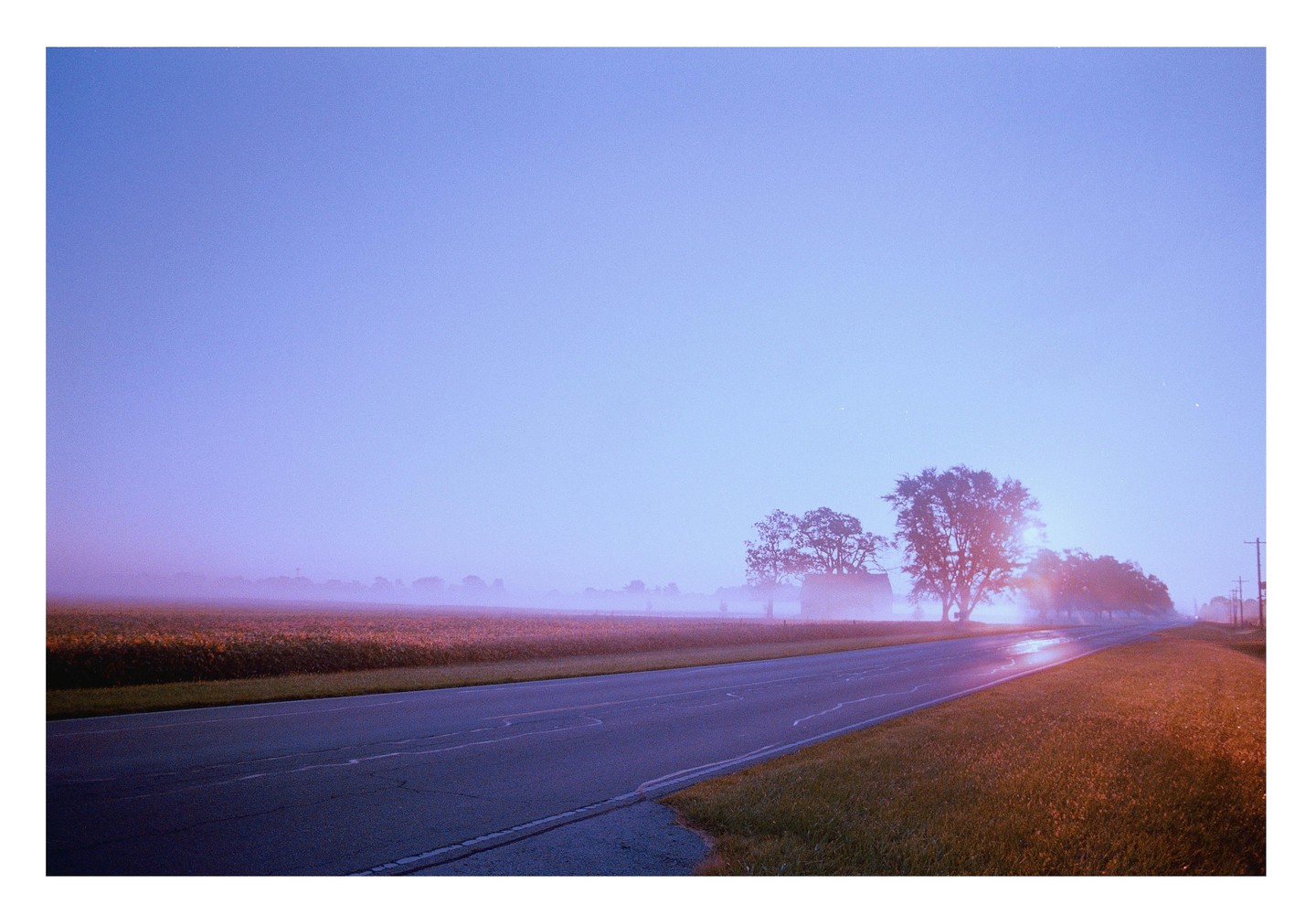 A long road stretches into the distance alongside a field of crops, with trees and a building shrouded in fog under a purple sky.